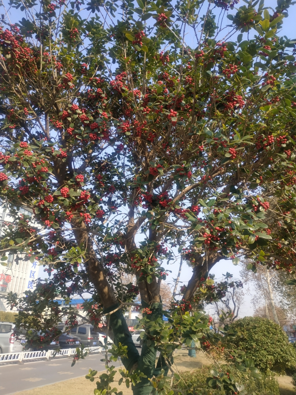 山铝北大医疗医院