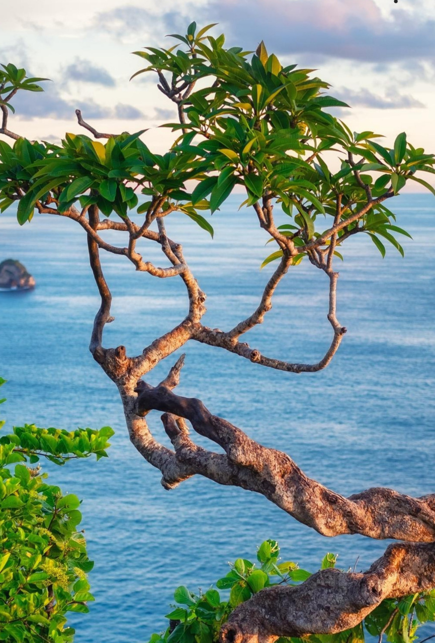 你与世无争, 是你知道"不争无忧"的大智慧.