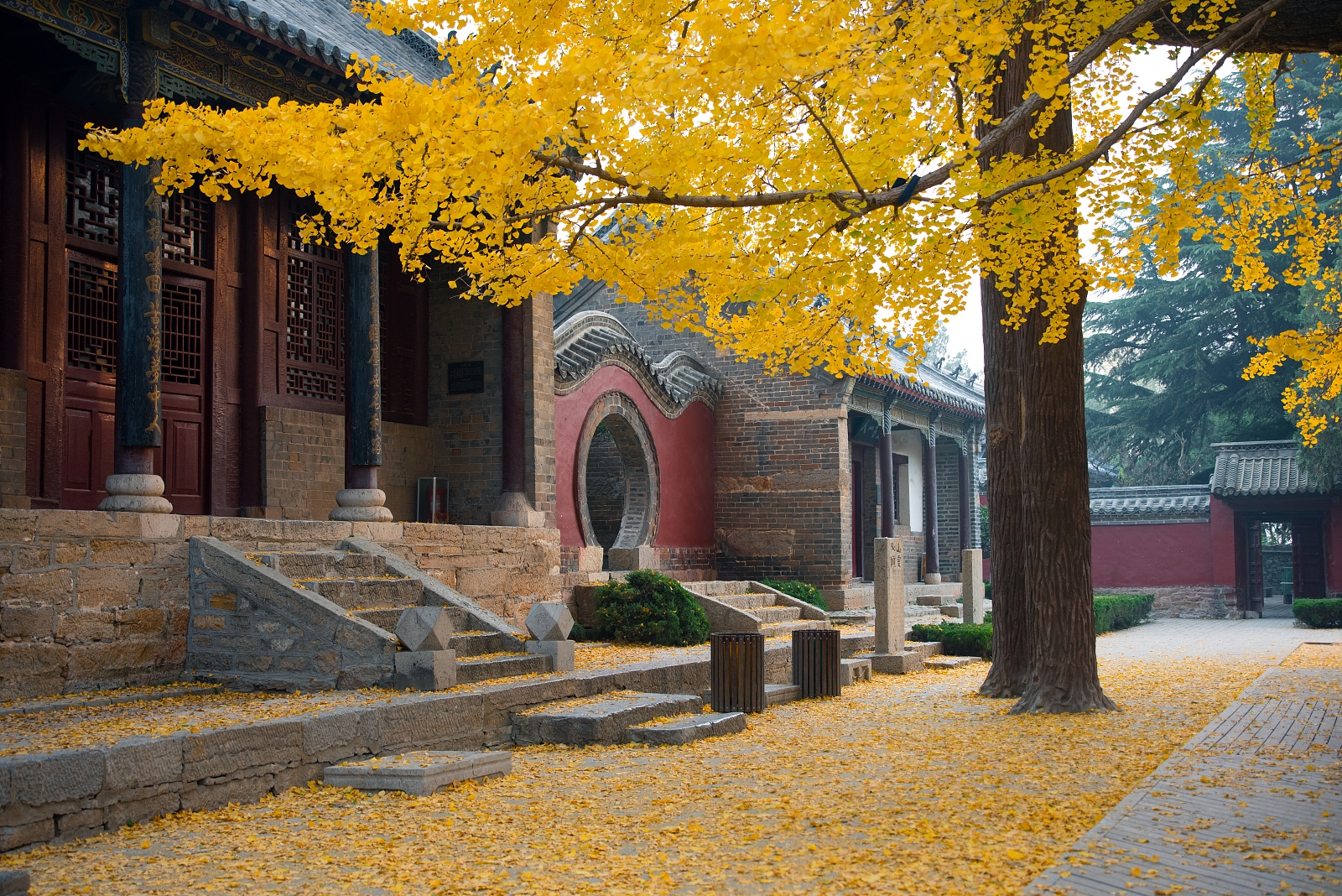 她以独特的魅力引领你走向快乐的巅峰,成为你人生旅