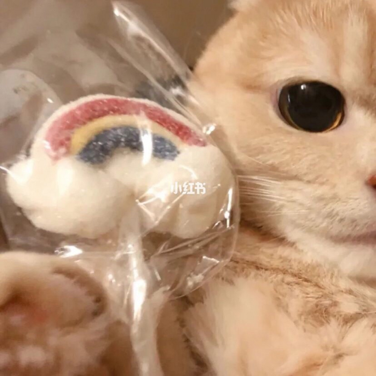 三个闺蜜头像,还有一些猫咪情侣头像