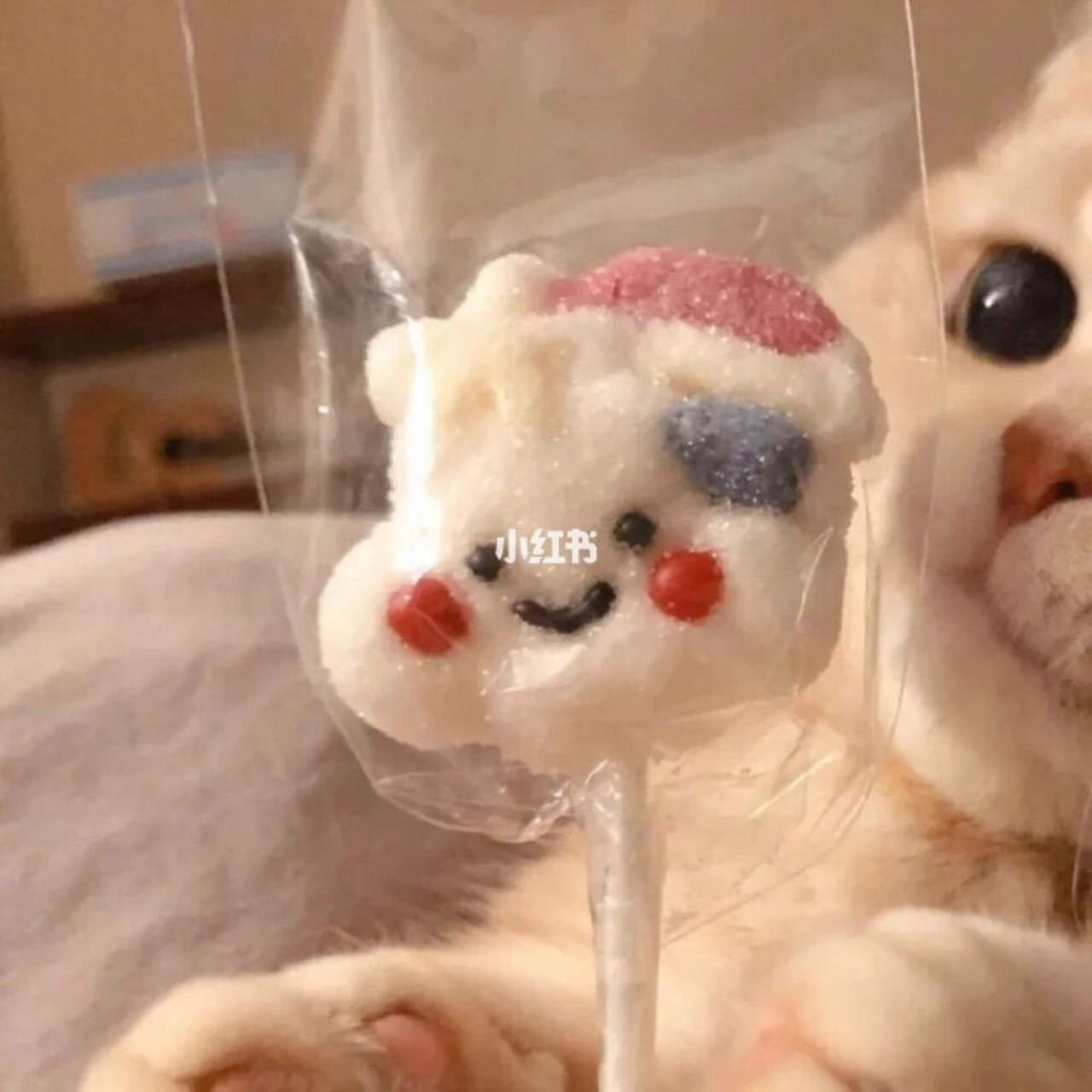 三个闺蜜头像,还有一些猫咪情侣头像
