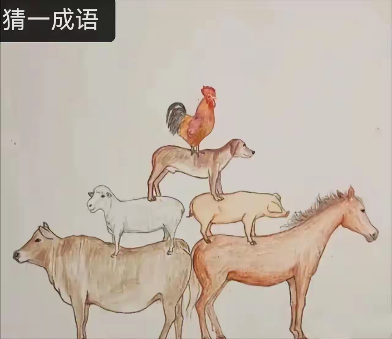 图中全是动物