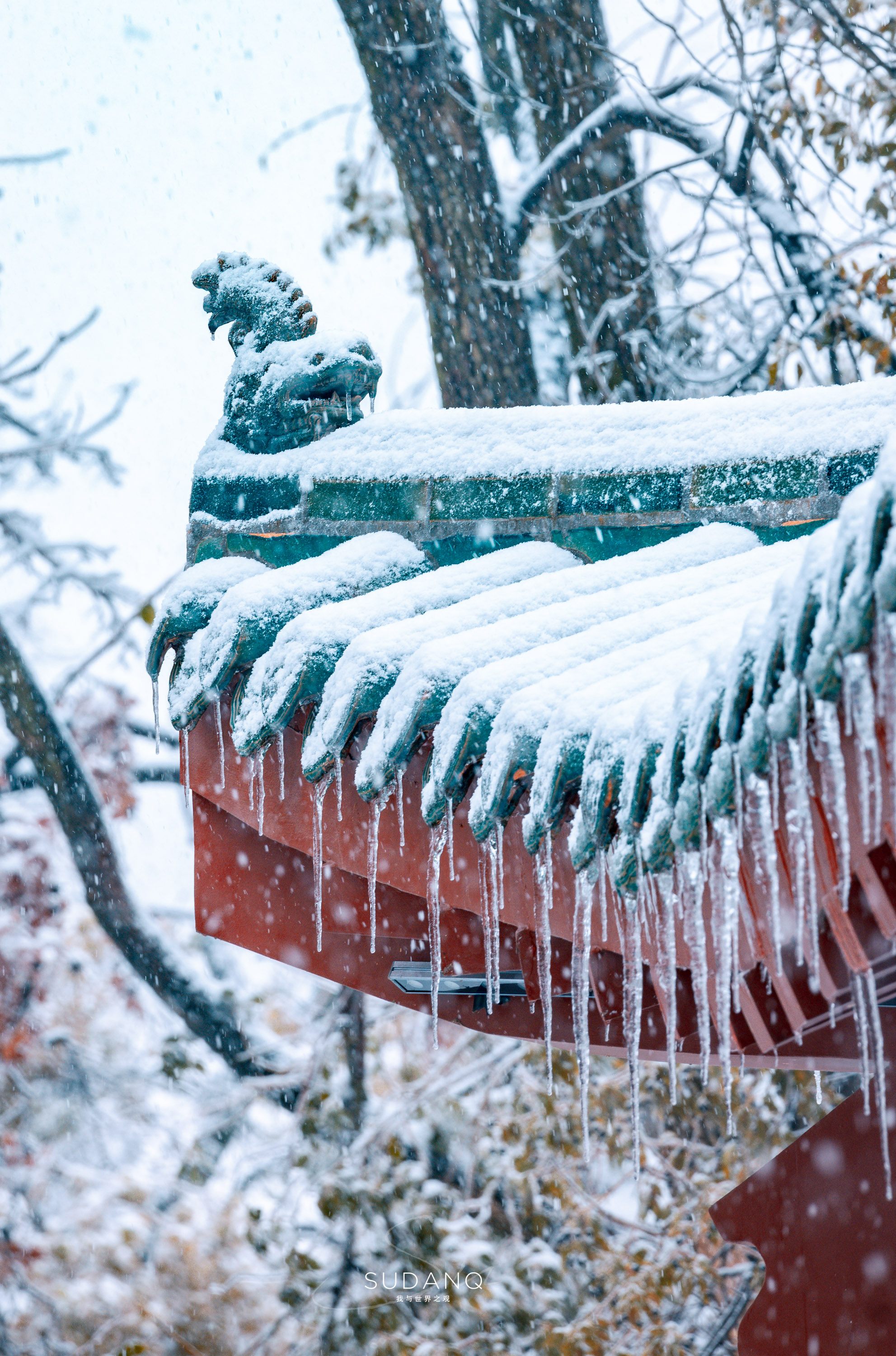 武汉雪景图片