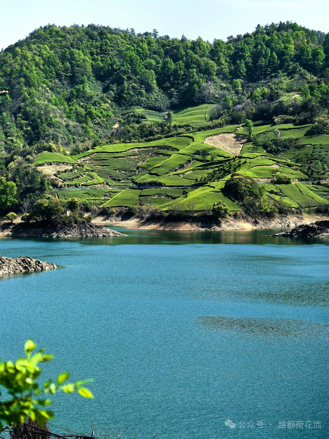 小的时候因为贫穷,大哥,二哥都没念过几天书,或是
