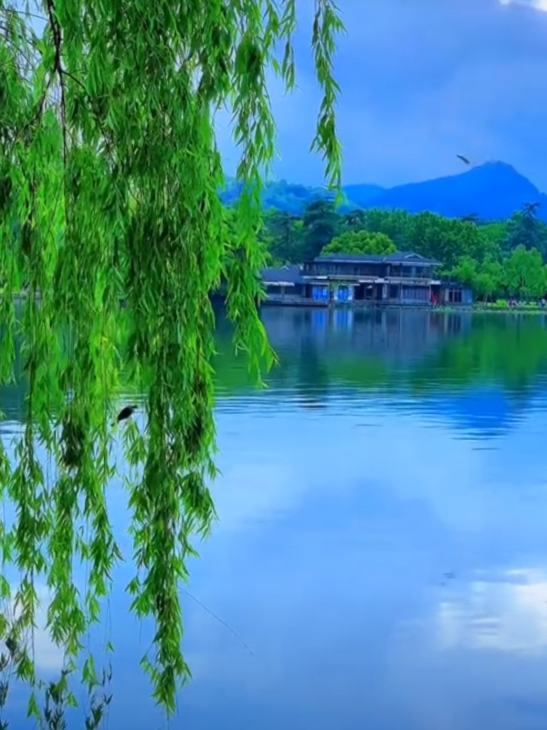 的手指,不时轻拂过脸庞,微风吹来,随着河水的清凉让 人顿感神清气爽