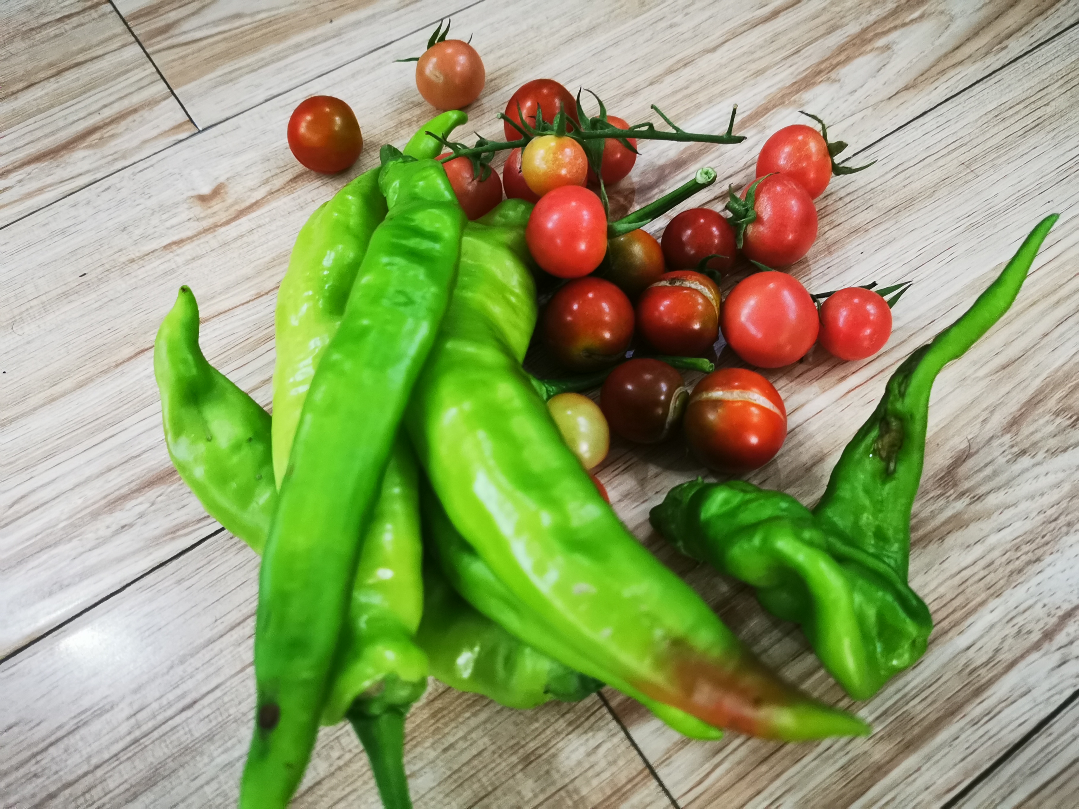 我家门前小菜园,番茄辣椒生机盎.