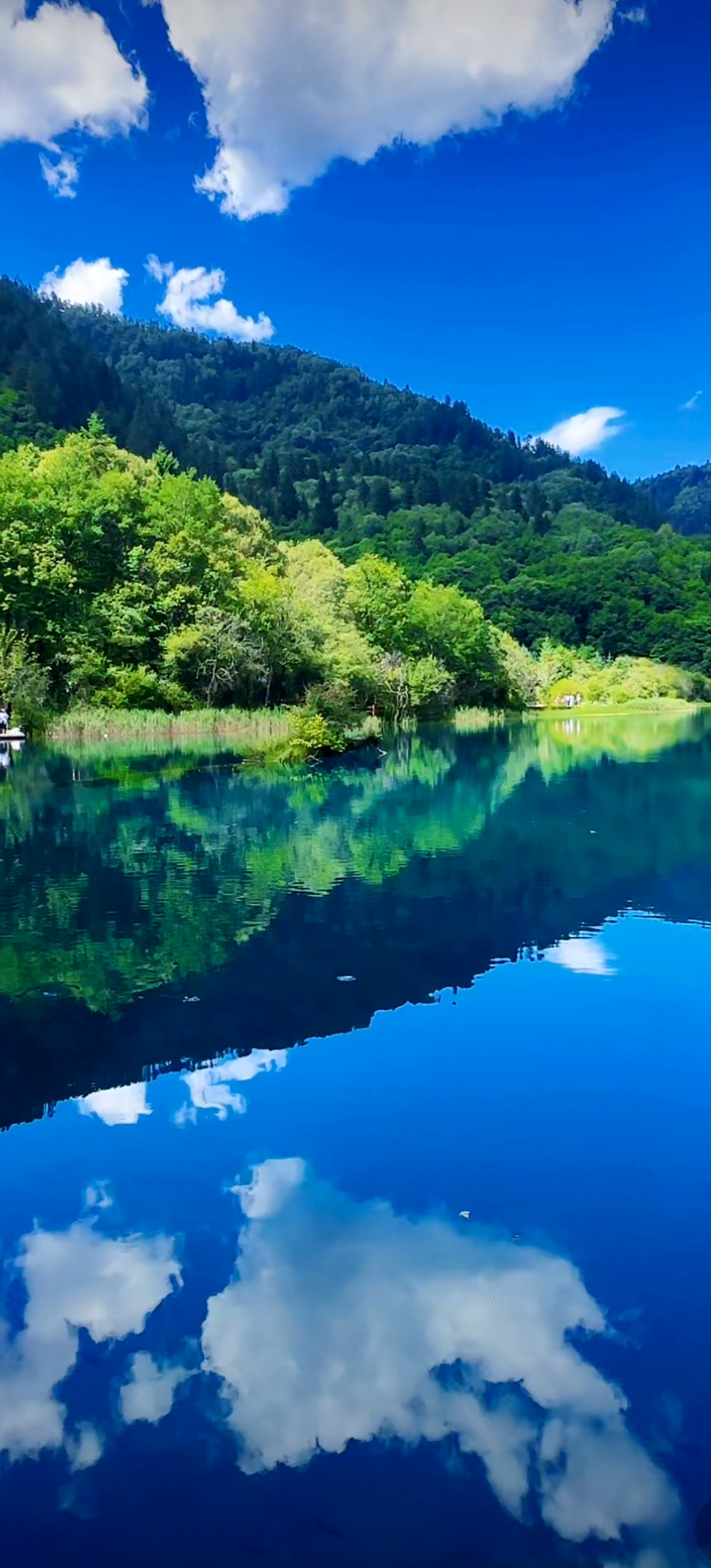 九寨沟五花海 云彩在湖面上的倒影,宛如仙境.