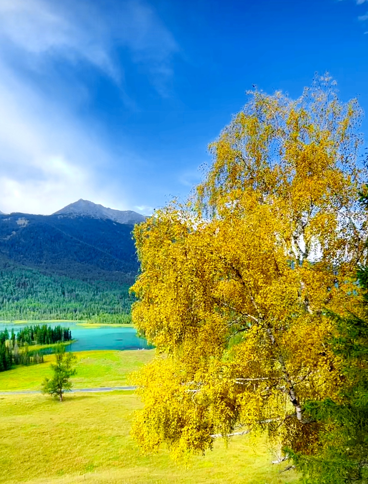 一夜金秋的喀纳斯神仙湾  山青水绿,秋意正浓,我在水光山色间等你.