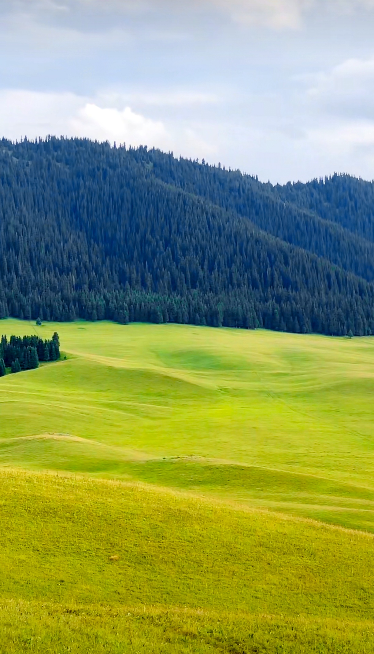 天马的故乡——昭苏野狼谷  绿意盎然,碧波荡漾,心旷神怡,尽在这片