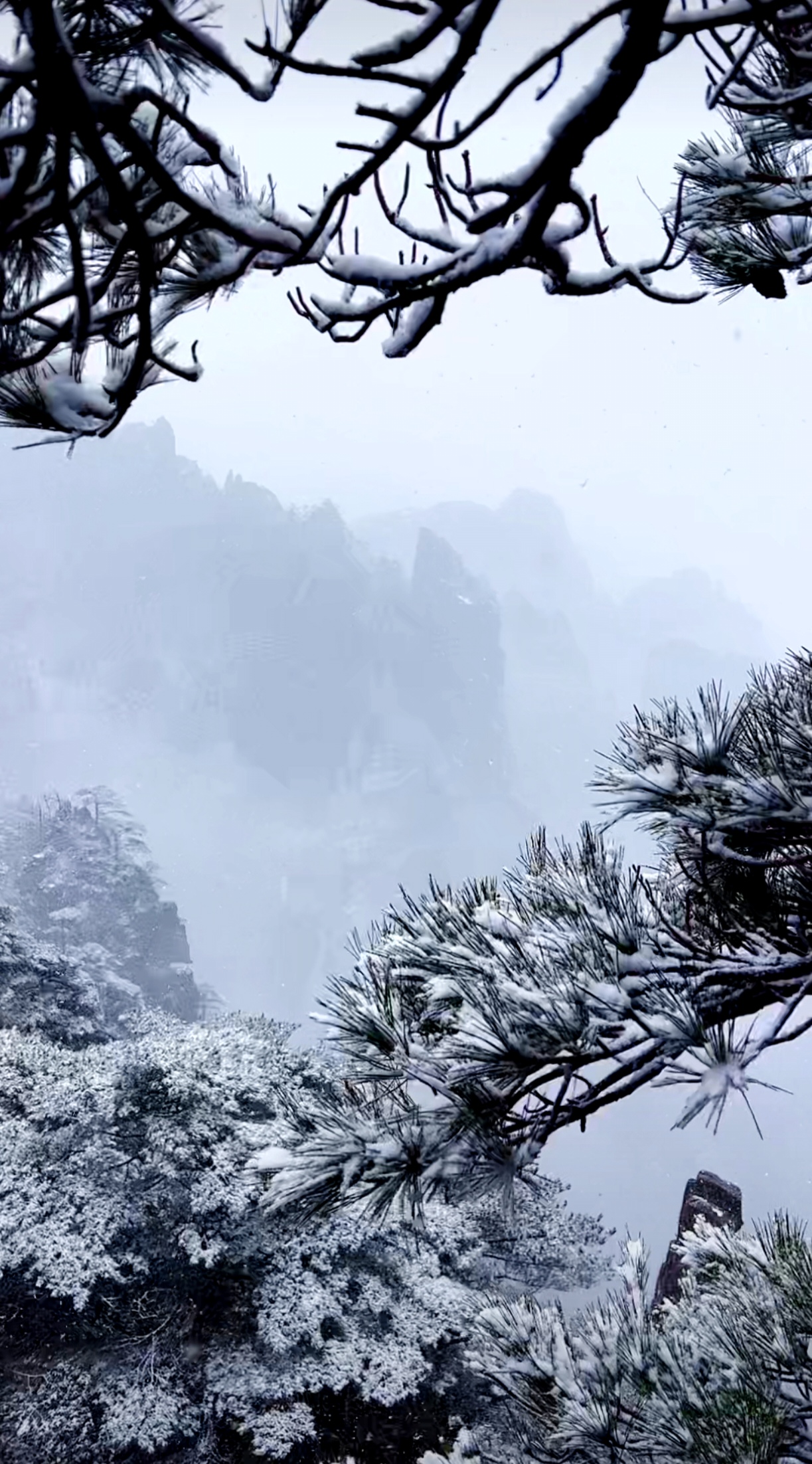 暮雪图片高清天地清寒一色幽高清图片风雪压弯松树岁寒青松图傲雪青松