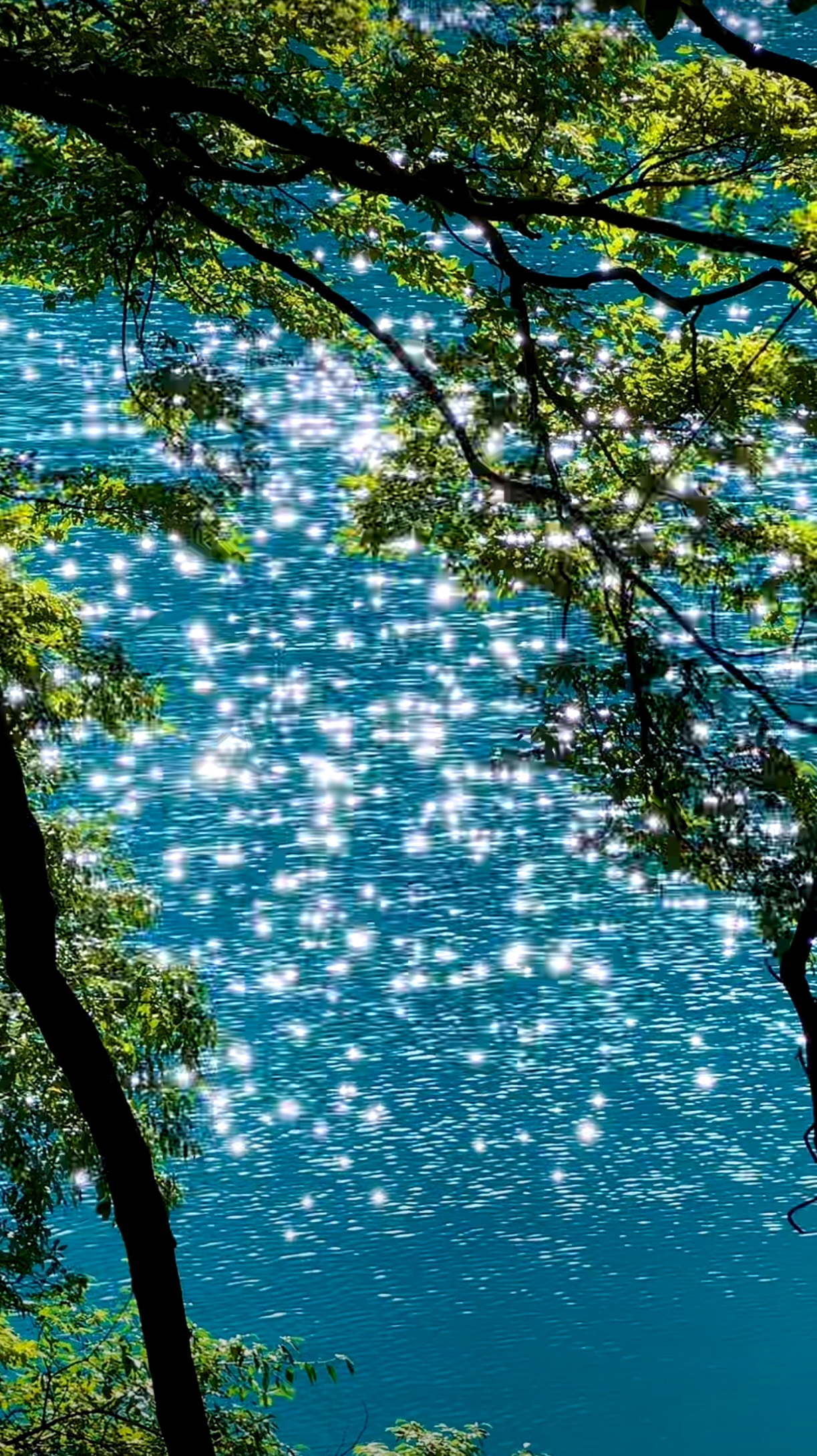九寨沟火花海  阳光洒在瀑布上,水花闪着金光,仿佛是大自然自己的笑容