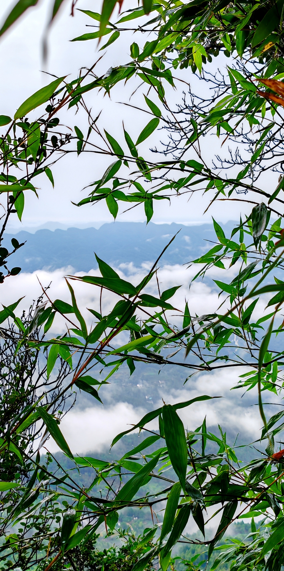 剑门道中遇烟雨  云雾缭绕的山间美景,宛如仙境.