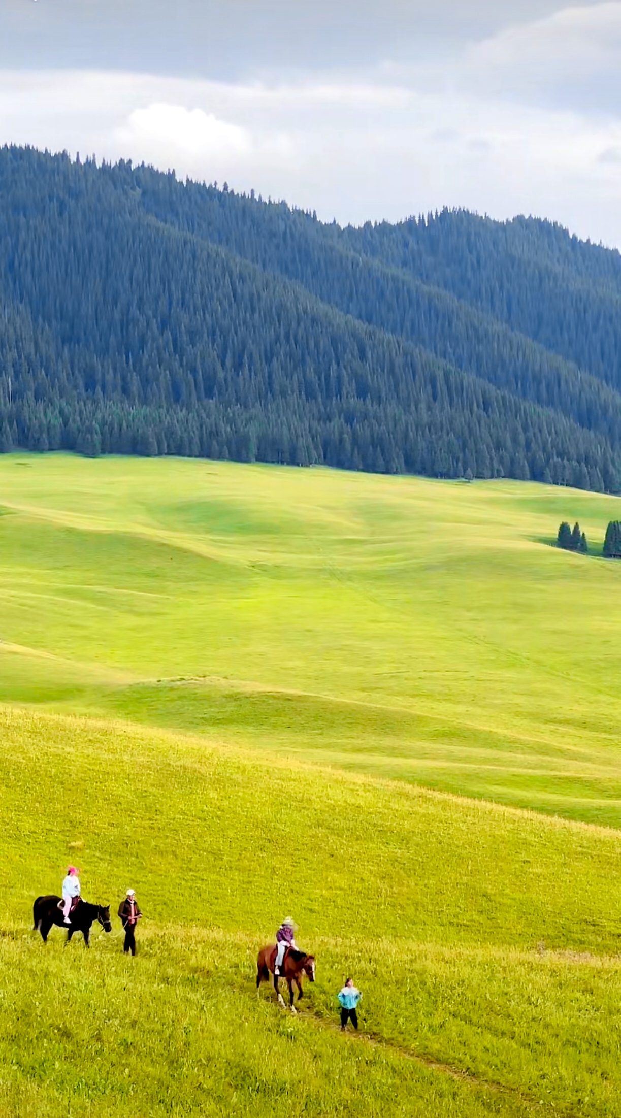 伊犁昭苏野狼谷  绿野仙踪,骑马追逐的快乐时光.