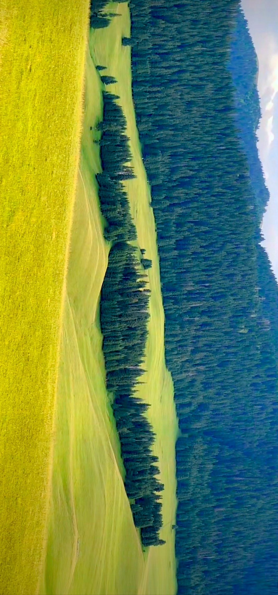 伊犁昭苏野狼谷  绿野仙踪,骑马追逐的快乐时光.