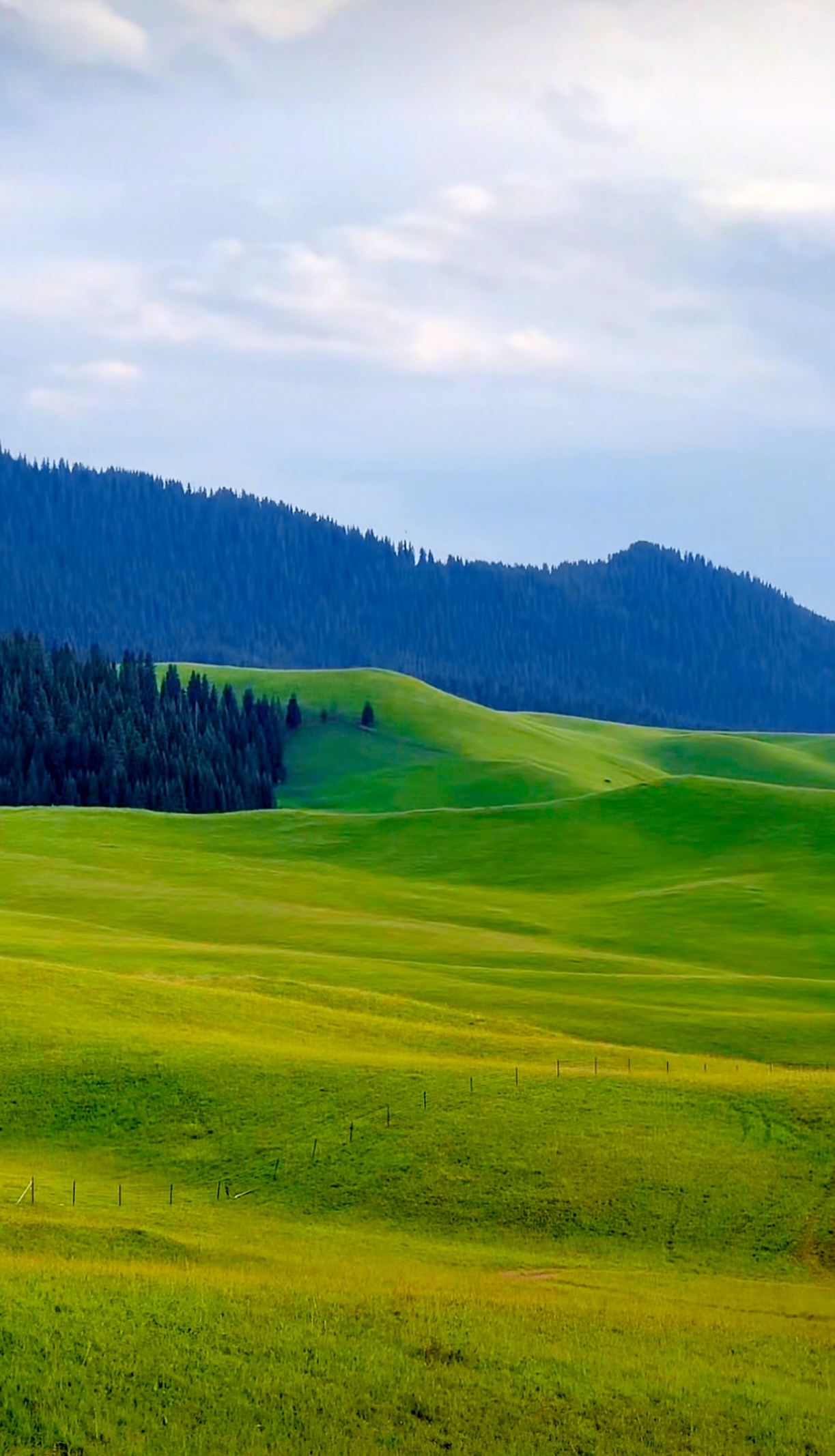 天马的故乡——昭苏野狼谷  绿意盎然,碧波荡漾,心旷神怡,尽在这片