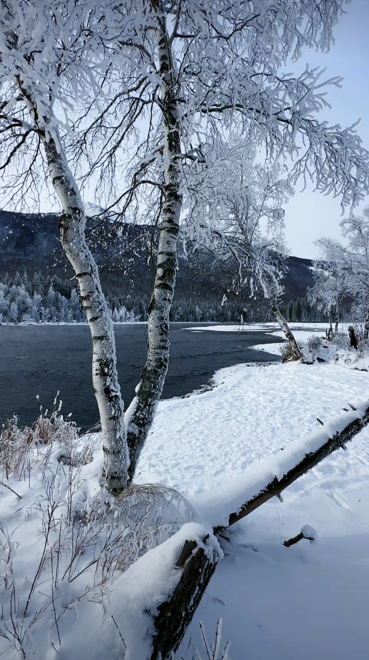 湖边的雪地和冰冻的湖面,远处是覆盖着雪的树木和山丘,近处是白茫茫的