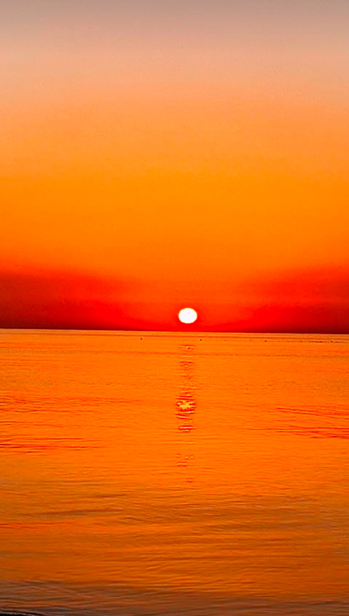 人间胜景催吾醒, 且伴朝阳赋雅篇