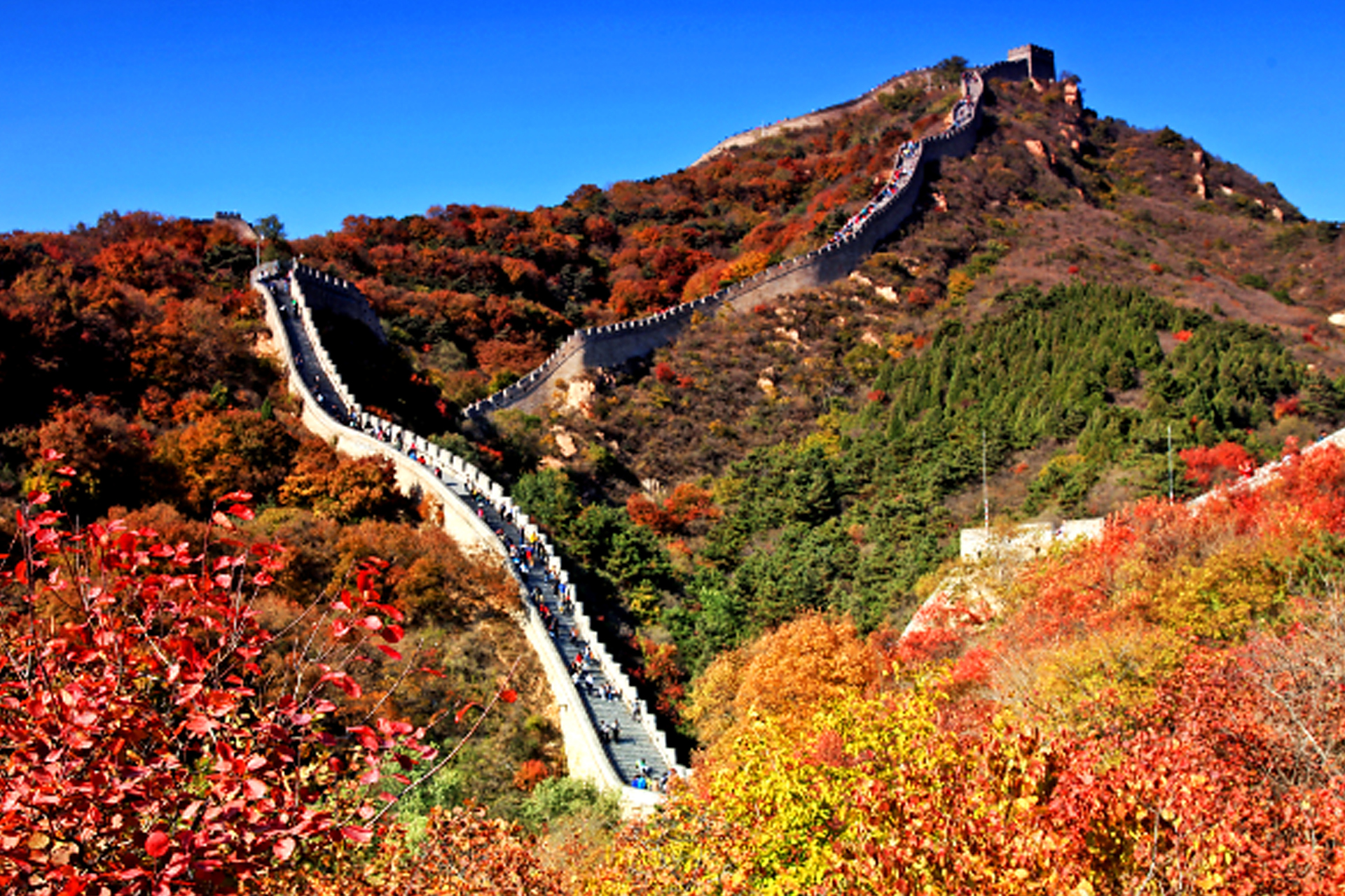 93秋天来了,金色阳光洒在八达岭长城上,这正是感受这