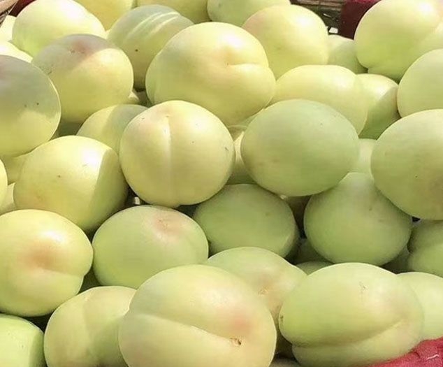 唐山特产香白杏,嫩滑爽口,美味好营养.[赞同][赞同]