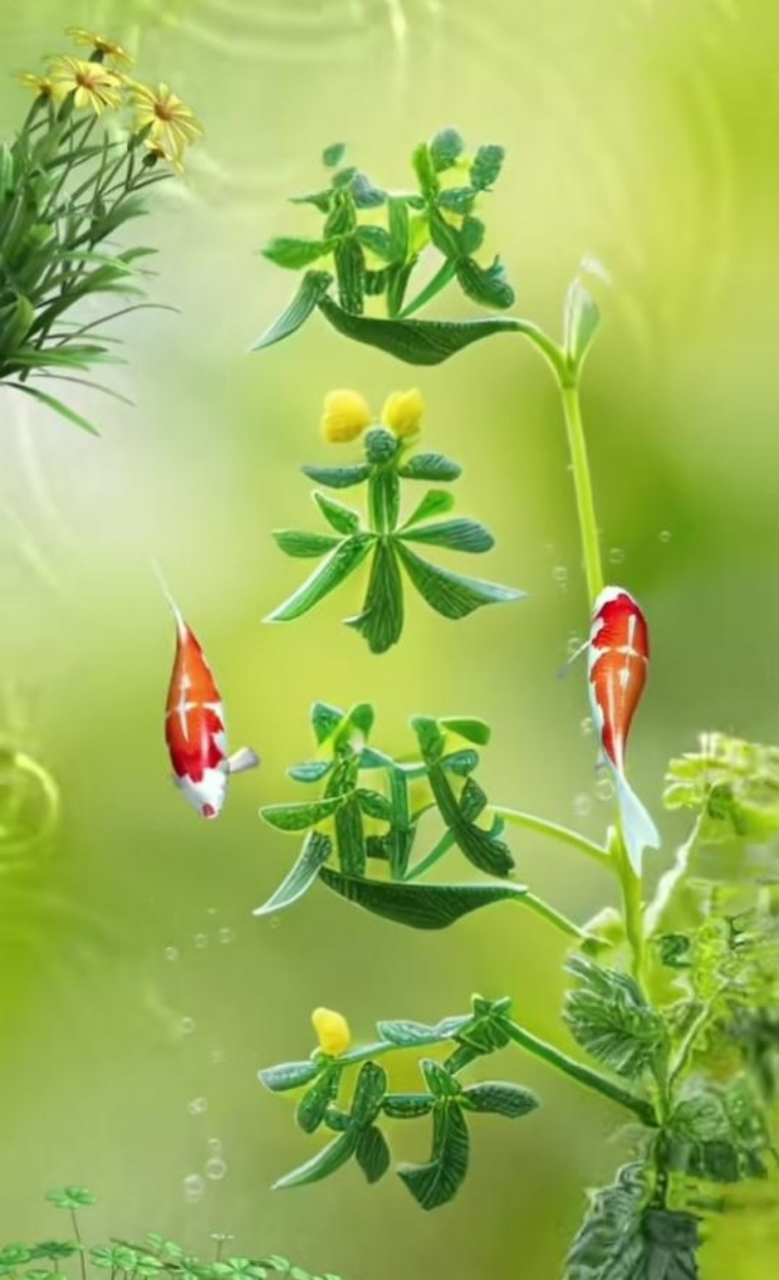 时来运转  好运连连