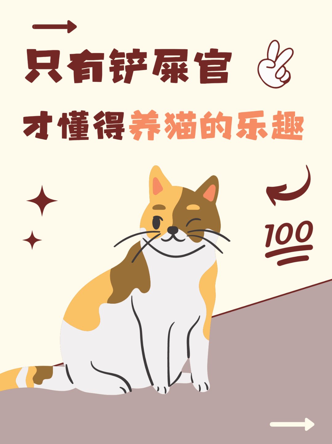 "喵"趣横生:铲屎官独有的养猫之乐 十一假期结束了 又可以见到我们的