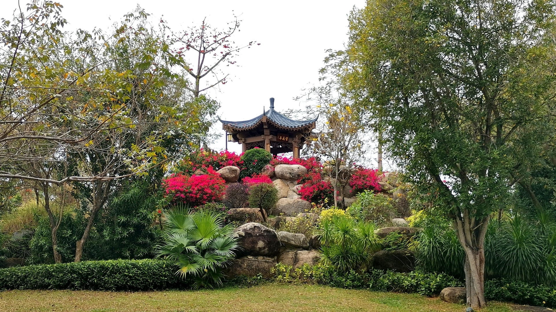 邂逅"天涯","海角",海滩景致游览基本结束,顺着岸上