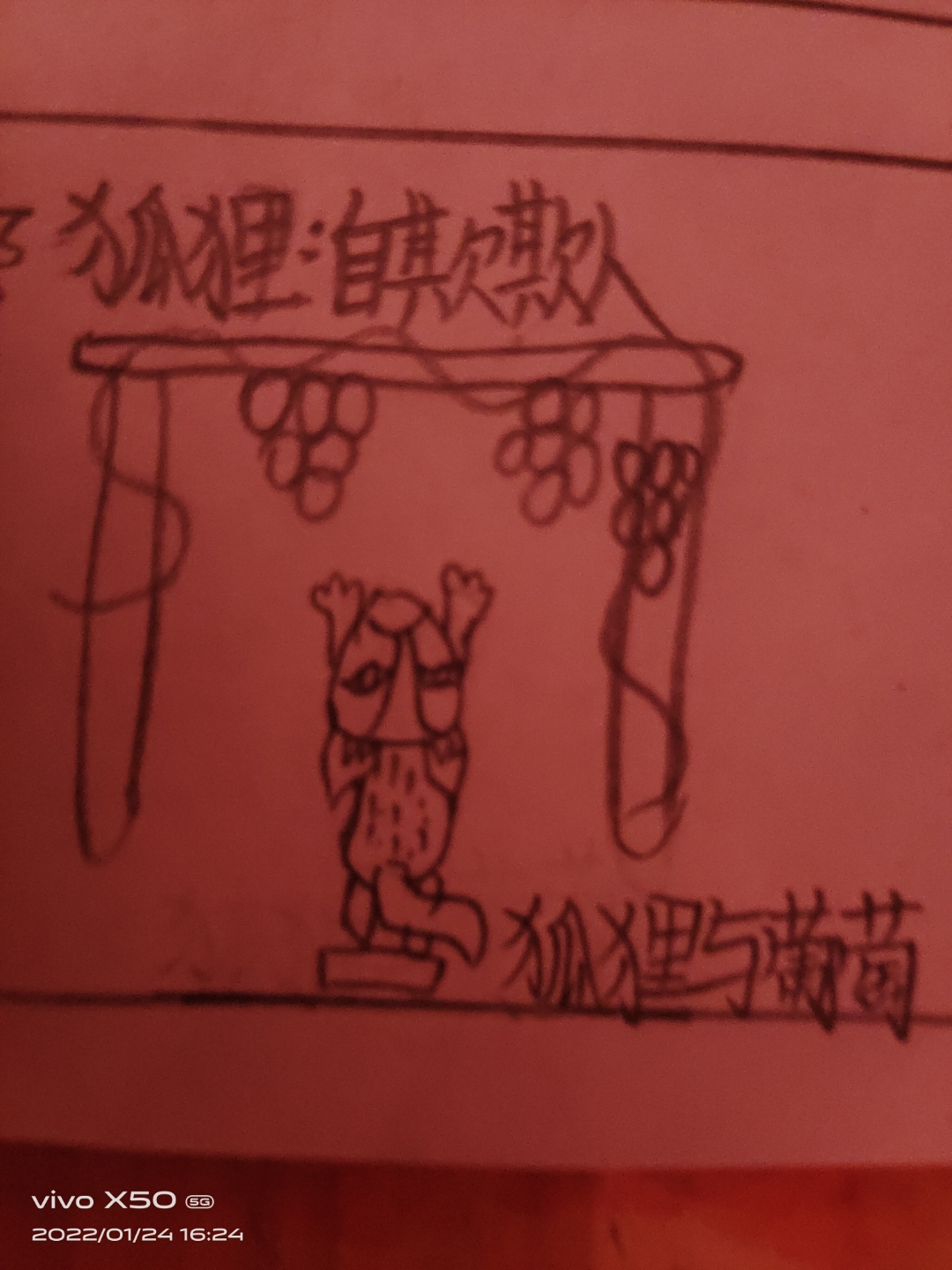 狐狸与葡萄简笔画