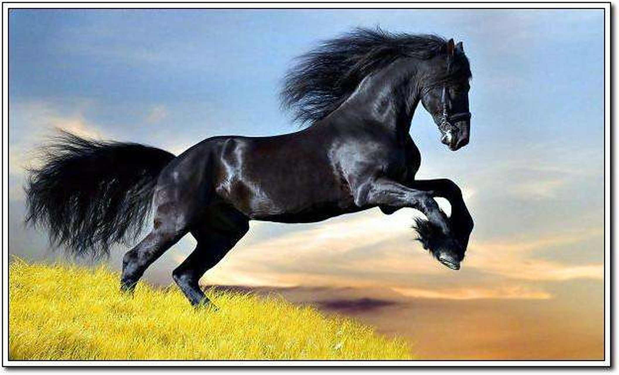 汗血马又名汗血宝马,大宛马,汉朝时西域大宛国出产的一种良驹,抗疲劳