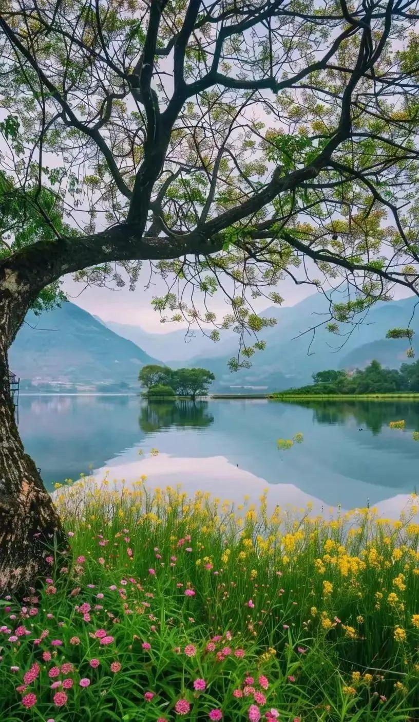 山水风景图片真实春天图片