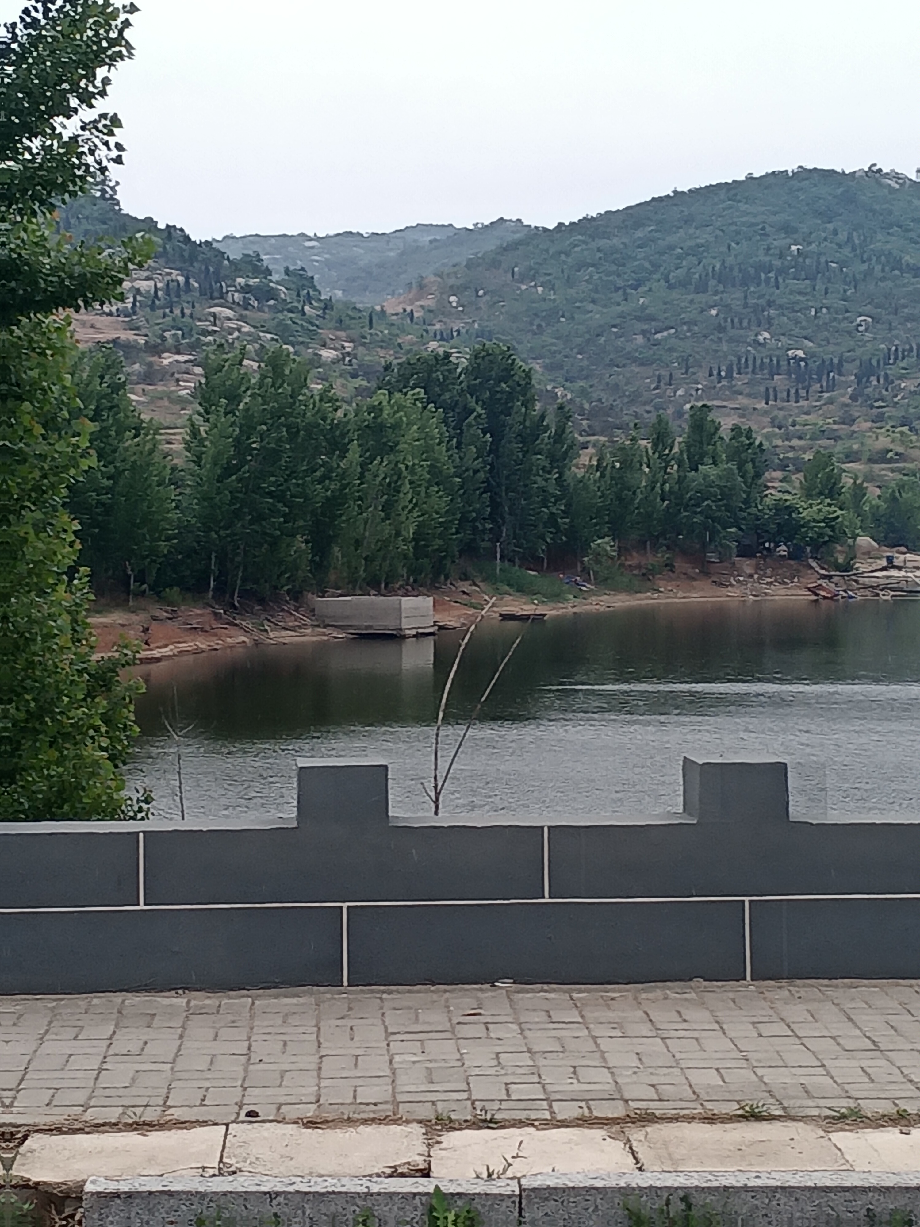 漫步在灰色砖块的人行道上,仿佛走进了一幅静谧的画卷