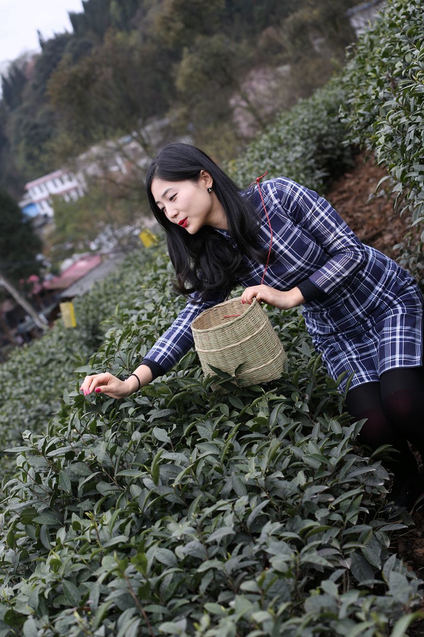 目光远望,秋水共长天一色, 眉间轻蹙,似有所思又无言