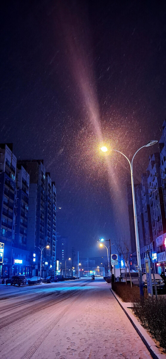 冬天夜晚的路灯下图片图片