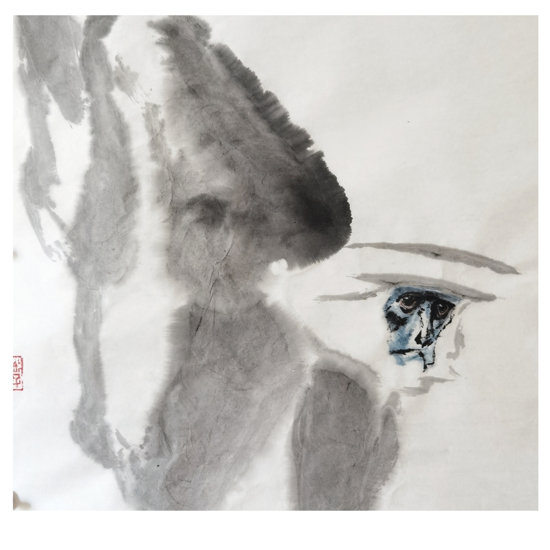 喜山长尾叶猴,西藏吉隆沟所见.