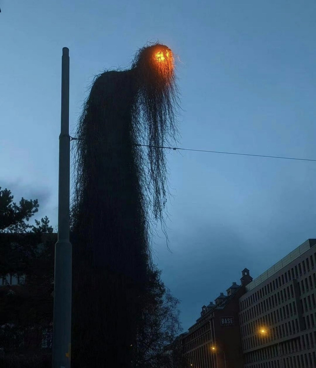 这是打扮的最恐怖的路灯