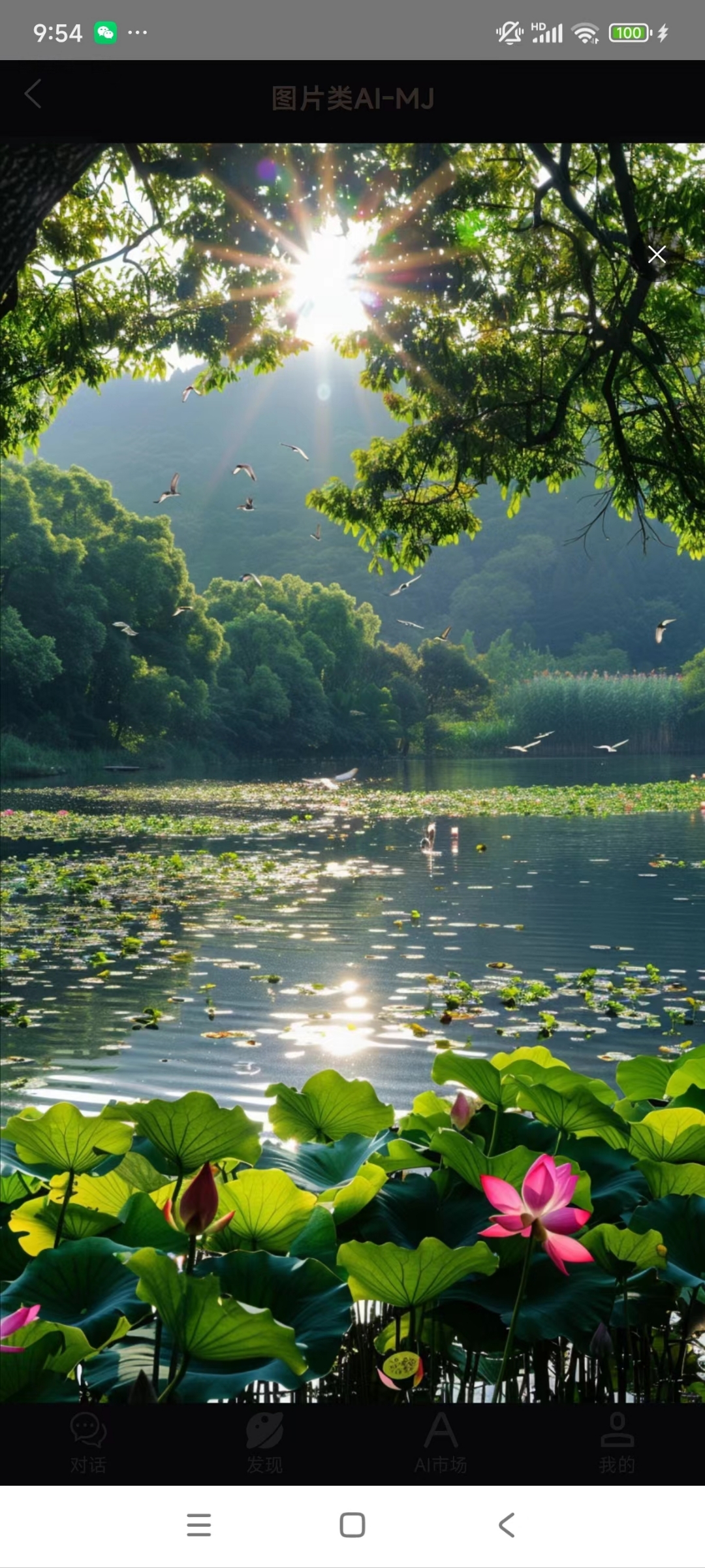 夏天早晨的美景图片