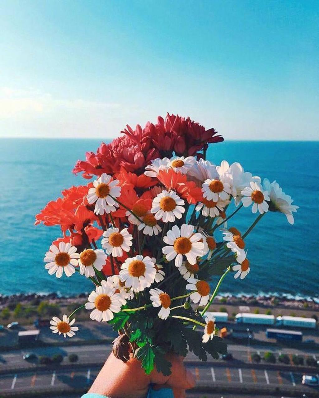 你顺手挽住火焰,化作漫天的大雪.  ——北岛《青灯》