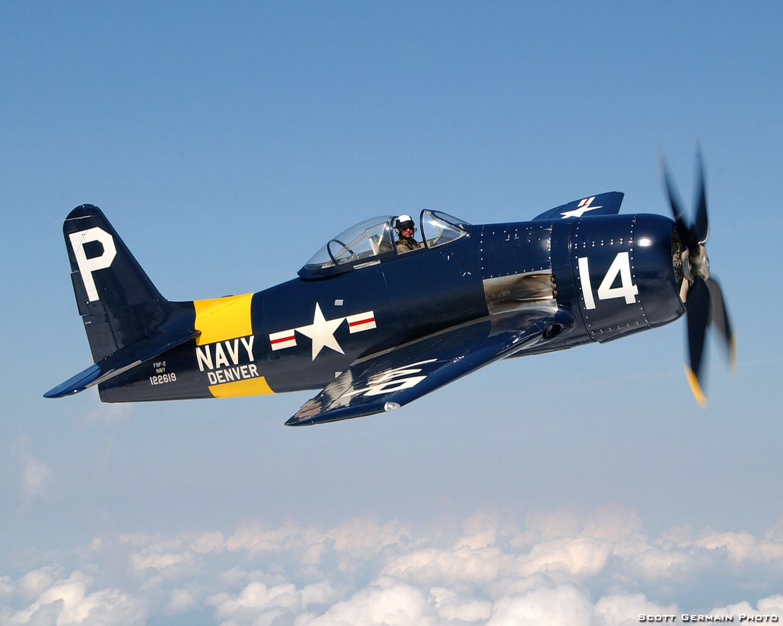 f8f"熊猫"