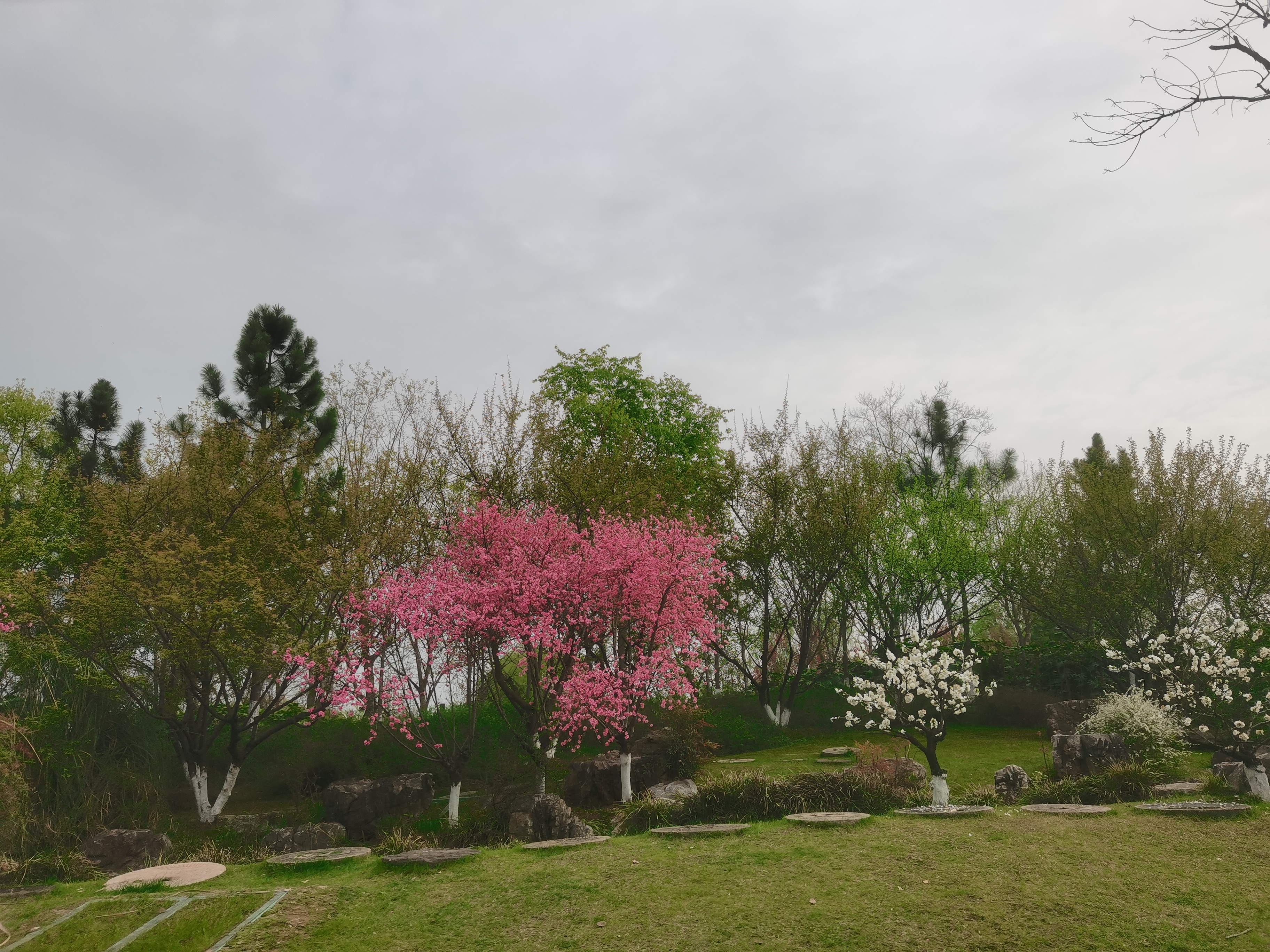 武汉东湖绿道桃花岛,人少景美