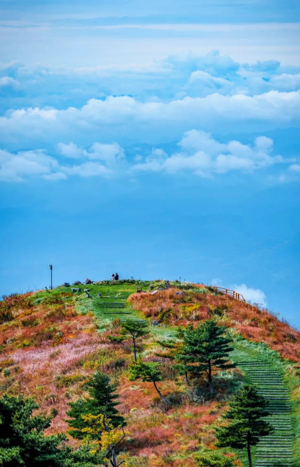 百里荒高山草原旅游区图片