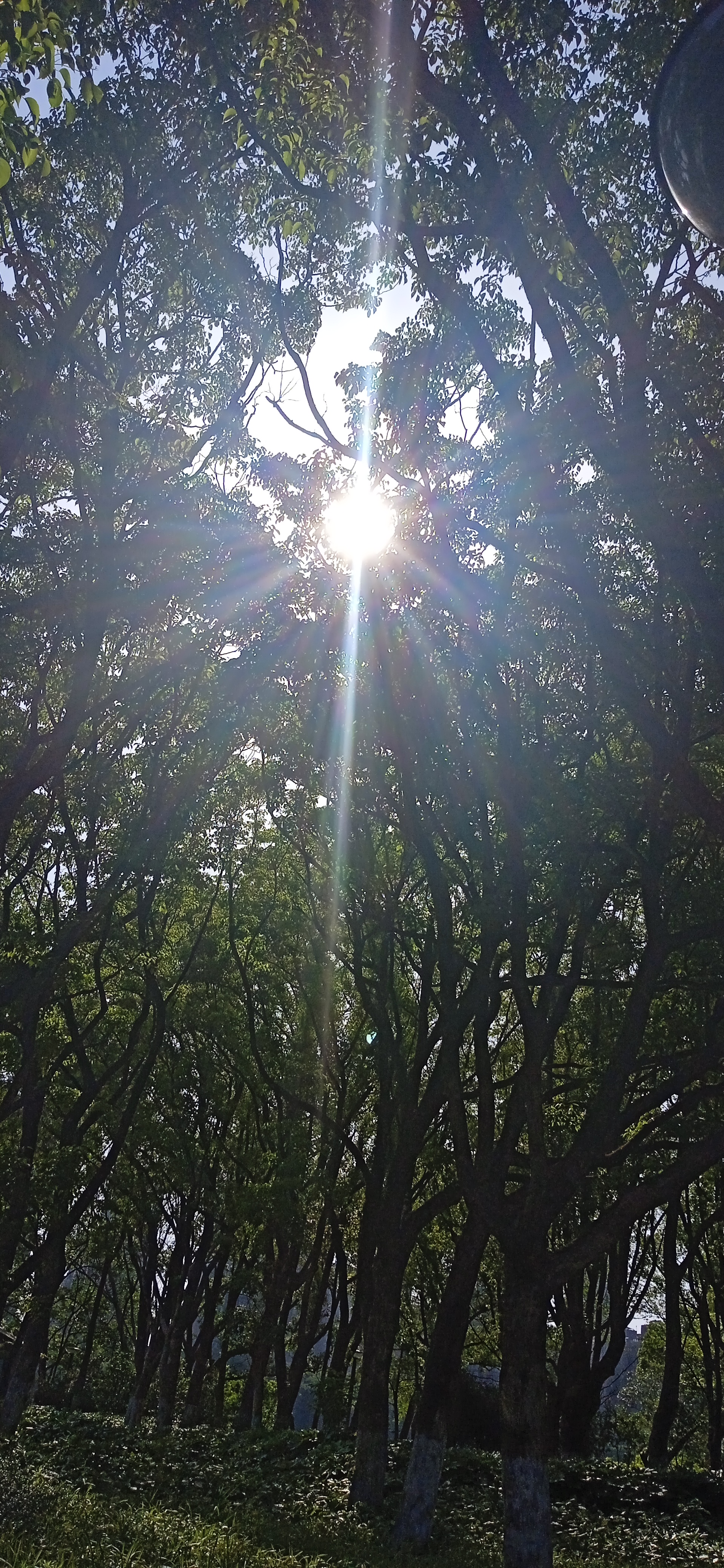 晴空万里光芒四射,令人都不敢张开眼睛真视这红太阳