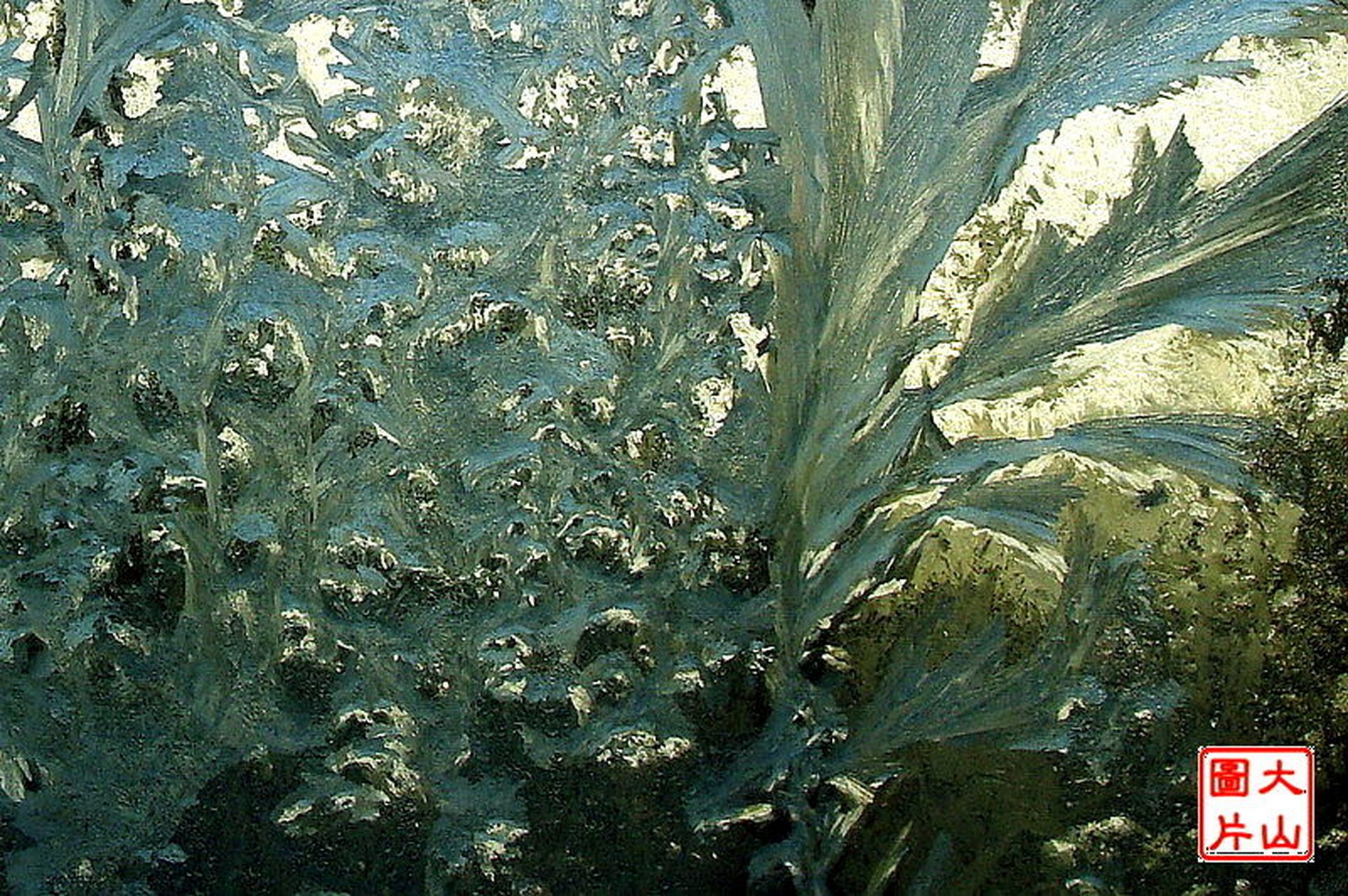 过去东北农村冬天窗户上的霜花,摄影人:大山  大家好!今天很热吧?