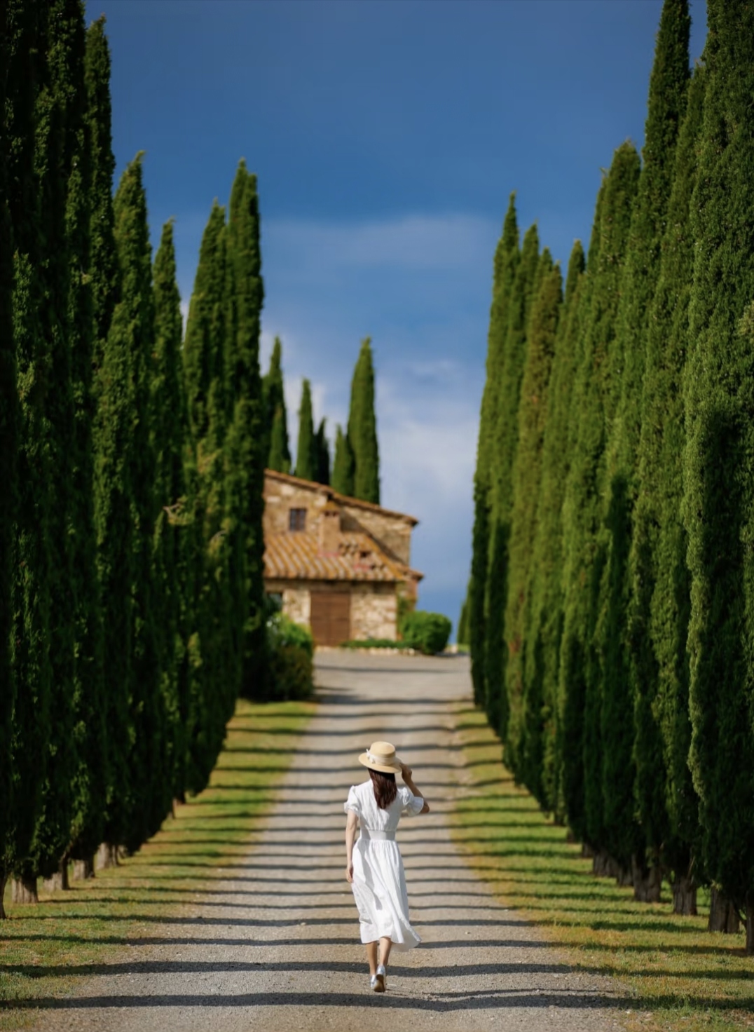 一位女子着白色连衣裙,头戴草帽,独自行走在被挺拔柏树夹道的小径上