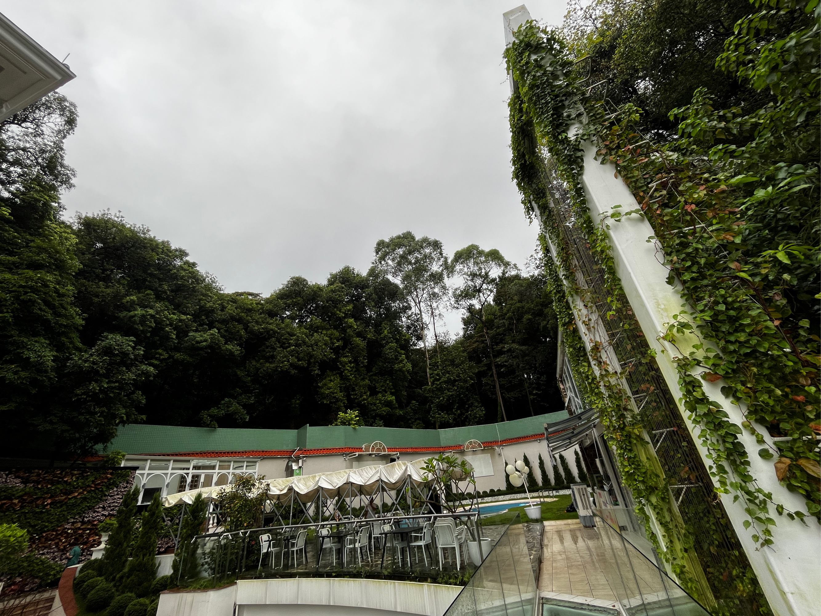 肇庆鼎湖山上民宿图片