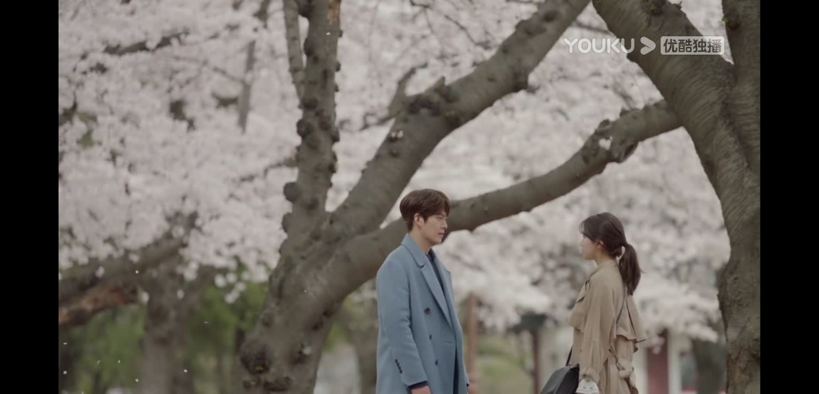 韩剧推荐# #任意依恋