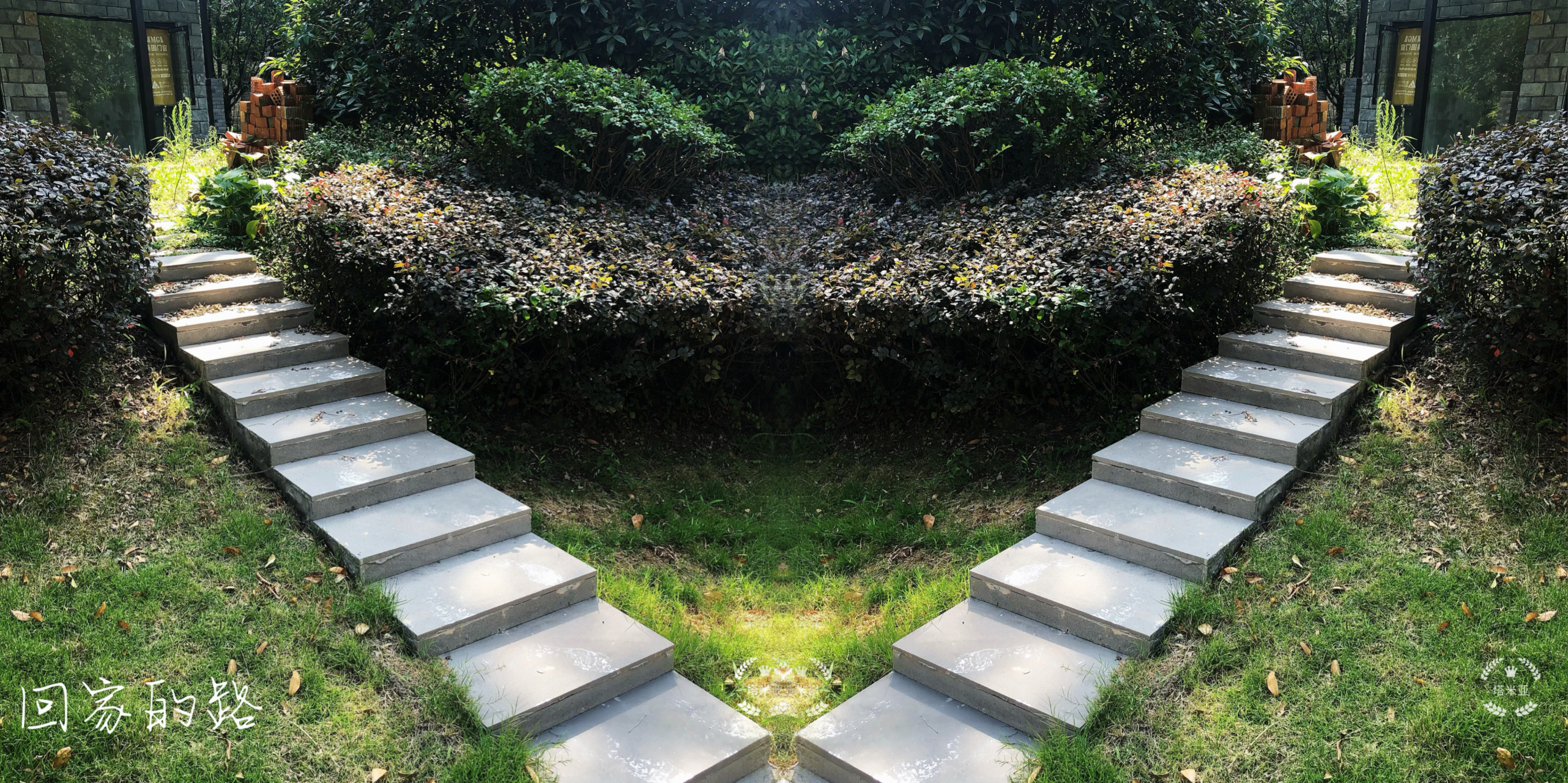 [祖国在我心中] 摄影/塔米亚