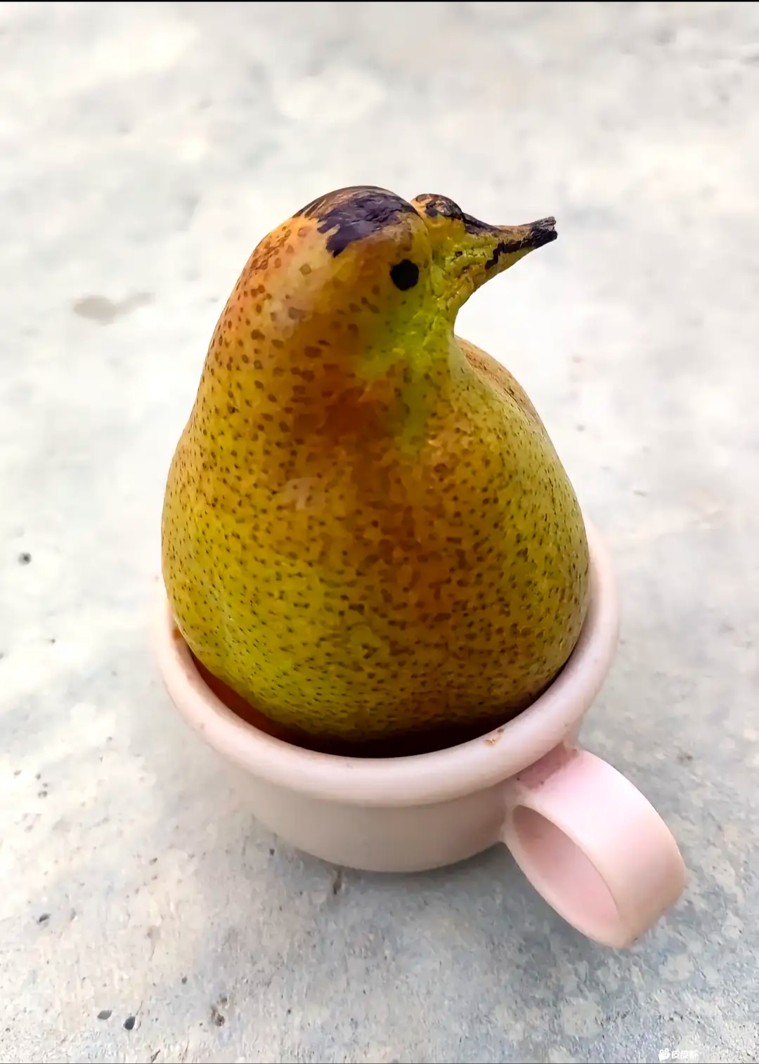 老板说这才是真正的鸭梨.