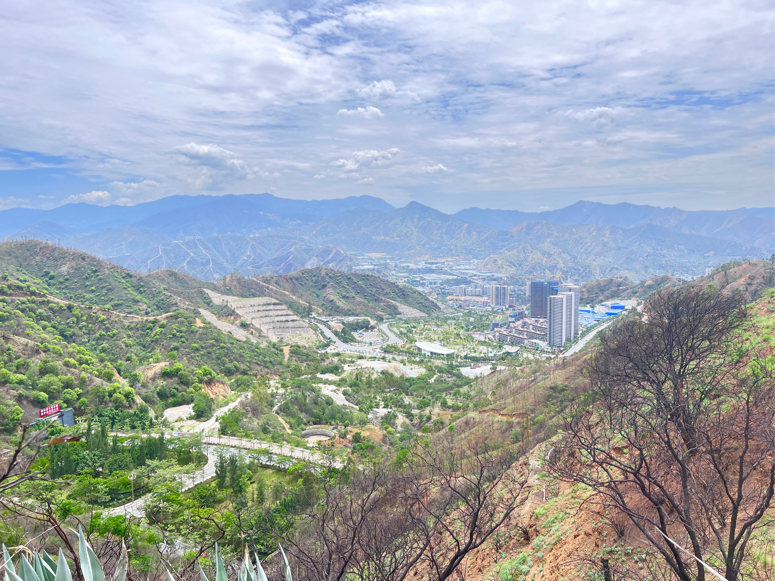 攀枝花玉佛寺登山步道图片