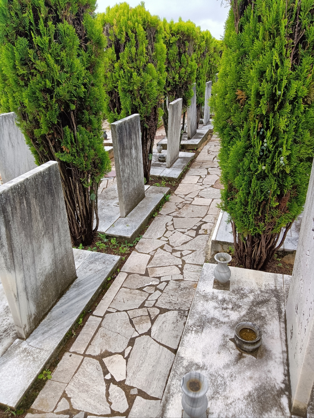 祭祖,是一种对先人的感恩之情的真挚表达,感恩他们