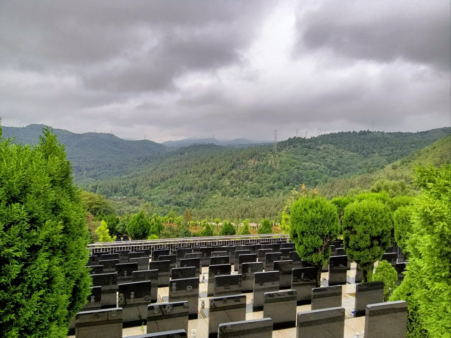 有很多的动物聚集,各种飞禽走兽,虫类,都会集中在这