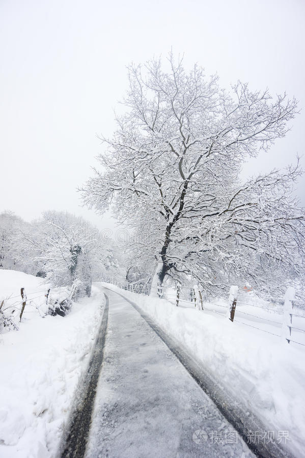 下雪照片心情图片